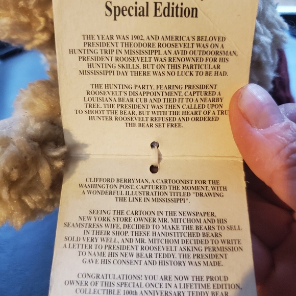 Dan Dee 100th Anniversary Limited Edition Teddy's Teddy stuffed plush bear w/tag - Picture 4 of 6